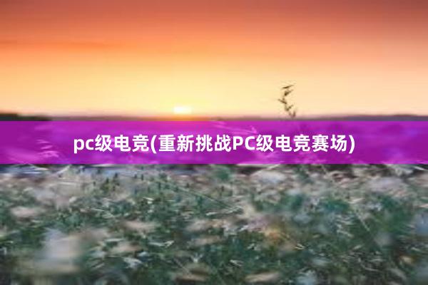 pc级电竞(重新挑战PC级电竞赛场)