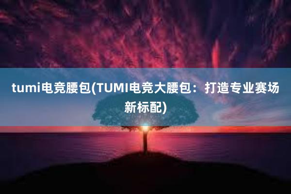 tumi电竞腰包(TUMI电竞大腰包：打造专业赛场新标配)