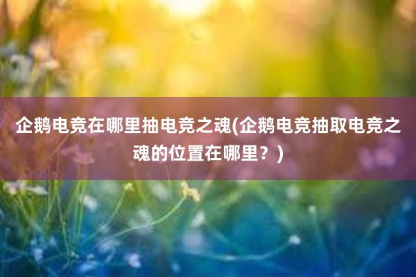 企鹅电竞在哪里抽电竞之魂(企鹅电竞抽取电竞之魂的位置在哪里？)