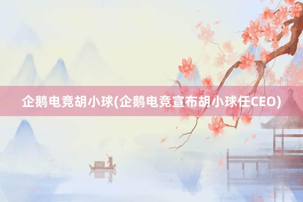 企鹅电竞胡小球(企鹅电竞宣布胡小球任CEO)