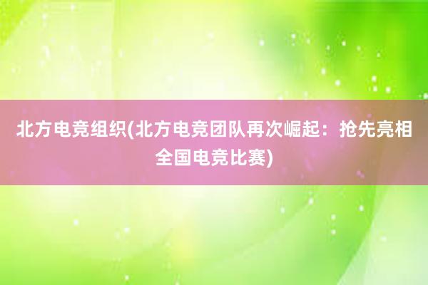 北方电竞组织(北方电竞团队再次崛起：抢先亮相全国电竞比赛)