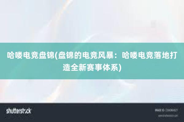 哈喽电竞盘锦(盘锦的电竞风暴：哈喽电竞落地打造全新赛事体系)