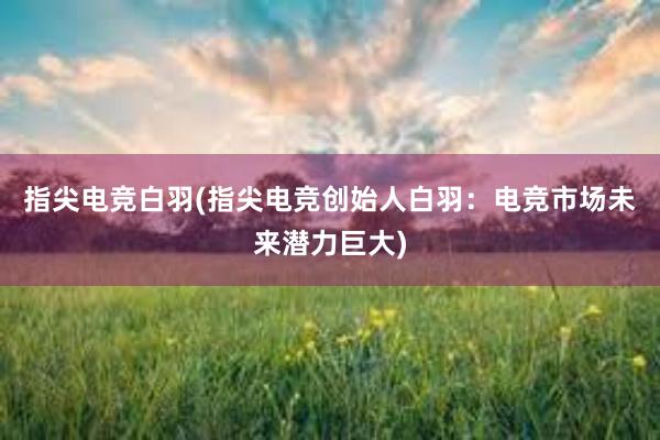 指尖电竞白羽(指尖电竞创始人白羽：电竞市场未来潜力巨大)