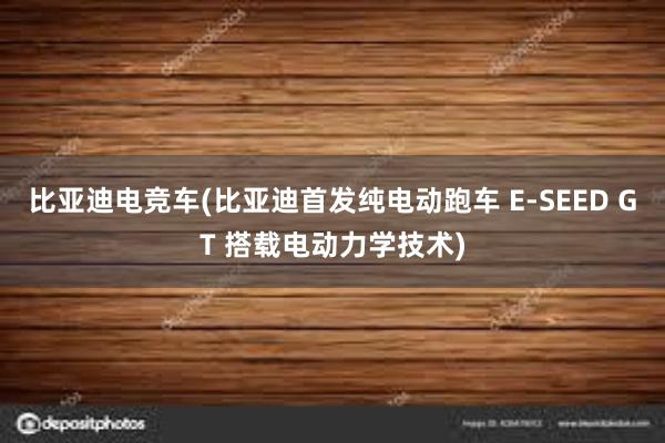 比亚迪电竞车(比亚迪首发纯电动跑车 E-SEED GT 搭载电动力学技术)