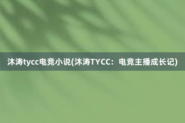 沐涛tycc电竞小说(沐涛TYCC：电竞主播成长记)