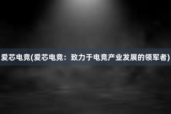 爱芯电竞(爱芯电竞：致力于电竞产业发展的领军者)