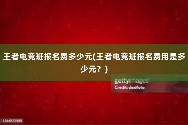 王者电竞班报名费多少元(王者电竞班报名费用是多少元？)