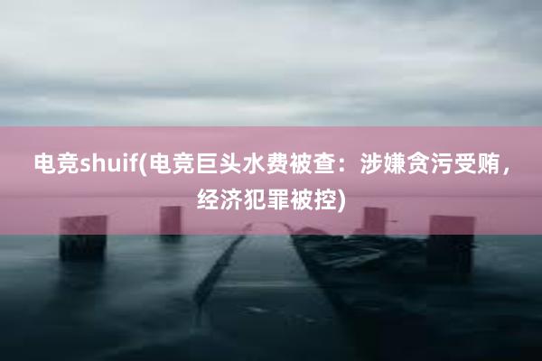 电竞shuif(电竞巨头水费被查：涉嫌贪污受贿，经济犯罪被控)