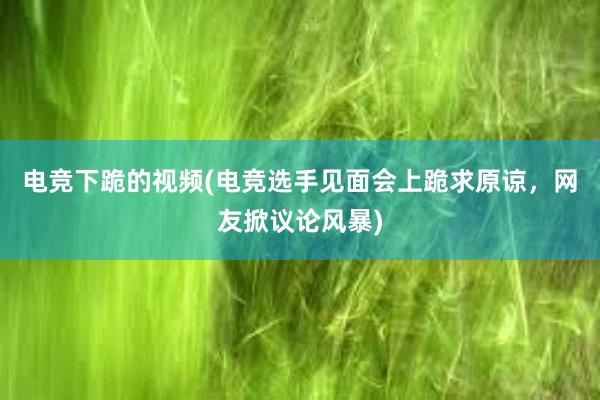 电竞下跪的视频(电竞选手见面会上跪求原谅，网友掀议论风暴)