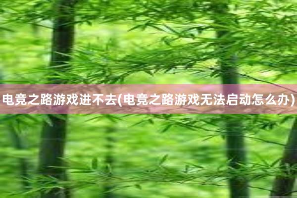 电竞之路游戏进不去(电竞之路游戏无法启动怎么办)