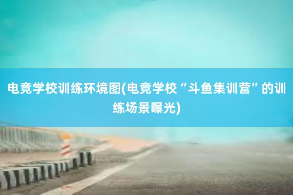 电竞学校训练环境图(电竞学校“斗鱼集训营”的训练场景曝光)