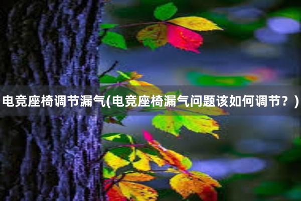 电竞座椅调节漏气(电竞座椅漏气问题该如何调节？)