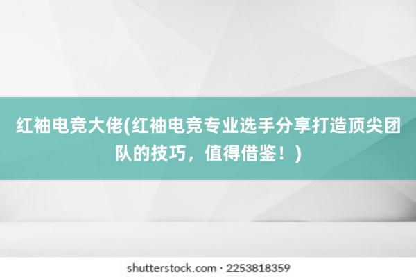 红袖电竞大佬(红袖电竞专业选手分享打造顶尖团队的技巧，值得借鉴！)