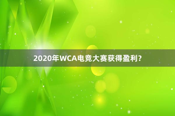 2020年WCA电竞大赛获得盈利？