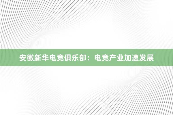 安徽新华电竞俱乐部：电竞产业加速发展