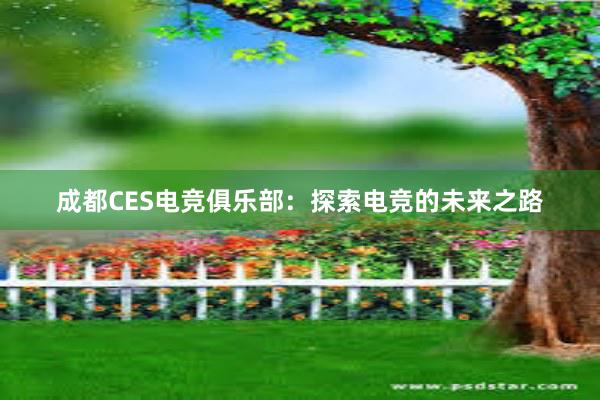 成都CES电竞俱乐部：探索电竞的未来之路