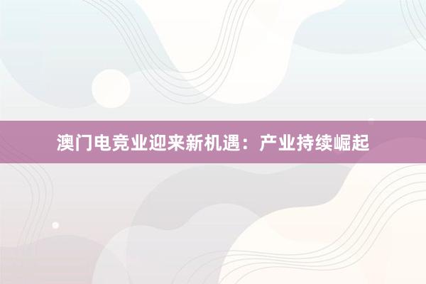 澳门电竞业迎来新机遇：产业持续崛起