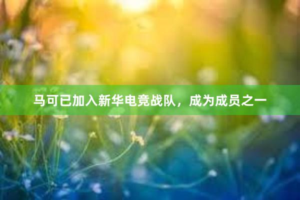 马可已加入新华电竞战队，成为成员之一